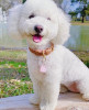 229101528.webp