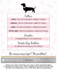 Dog Collar - S001473B002001P000003V049