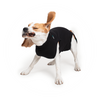 Suitical Dog Recovery Suits - S002439B002694P000011V015