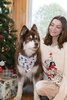Howliday Cheer Dog Bandana - S002668B002900P000026V001