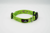 The Dowg Dog Collar - S000862B001821P000004V002