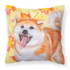 Dog With Fall Design Fabric Decorative Pillow - S000213B001695P114437V000