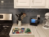 Italian Greyhound Cozy Christmas Glass Cutting Board