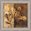 Leaf Patterns I by Linda Thompson, Framed Wall Art