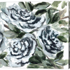 Shadowed Blue Roses II by Marcy Chapman, Canvas Art