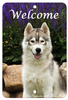 Siberian Husky - Best of Breed  Indoor/Outdoor Aluminum Sign