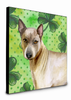 St Patrick's Dog Artwork Wall Panel