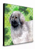 St Patrick's Dog Artwork Wall Panel - S000213B001695P016031V011