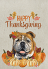 English Bull Dog Tan - Hippie Hound Studio Best of Breed Thanksgiving House and Garden Flag - S001917B002771P000802V002