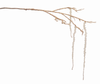 Icy Branch with Icicle (Set of 6) 36"H Plastic