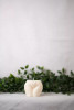 Derriere Candle Collection - 12821333-2