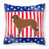USA Patriotic With Dog Fabric Decorative Pillow - S000213B001695P073757V000