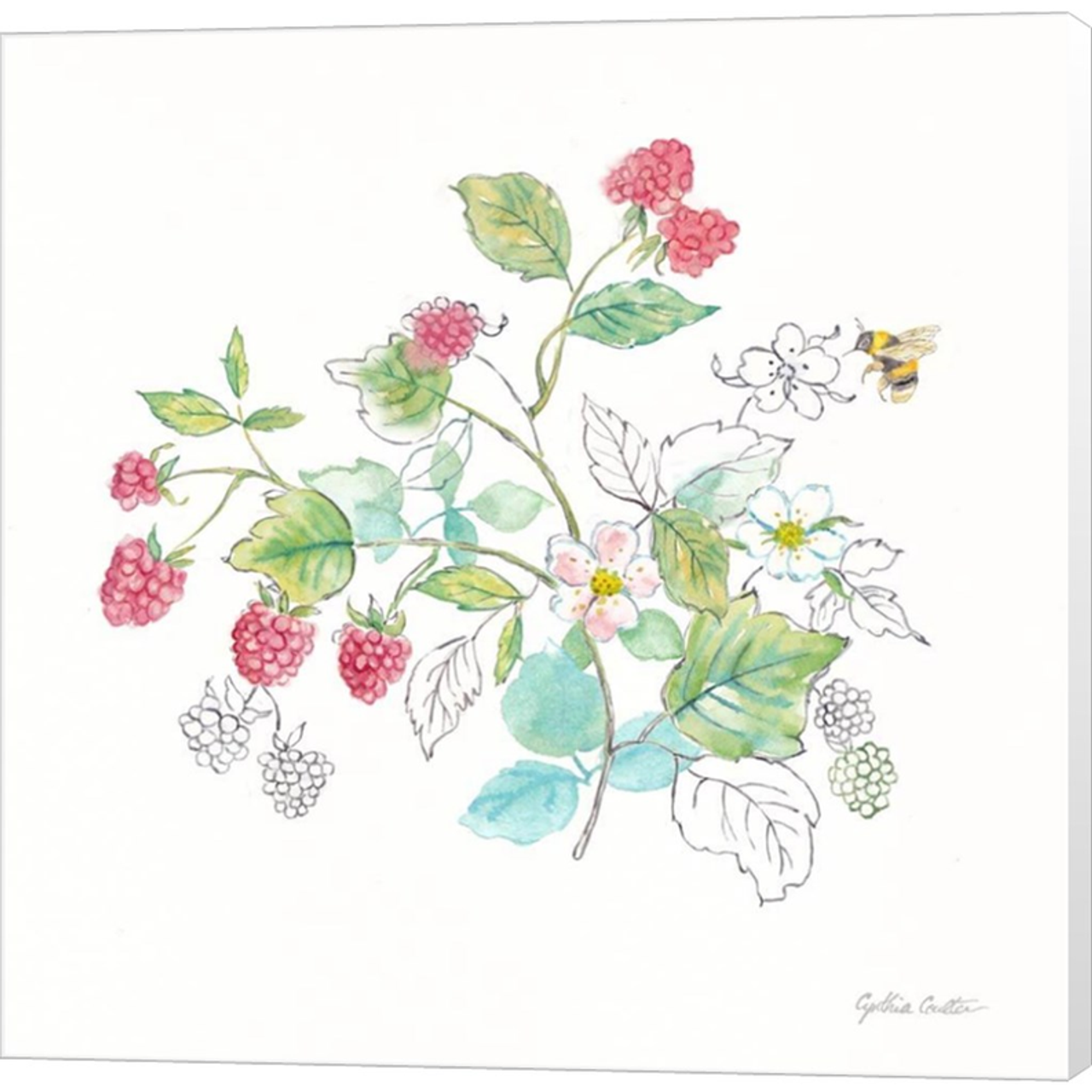 Berries and Bees V by Cynthia Coulter, Canvas Art - C1080242-0240000-ACAAAMA