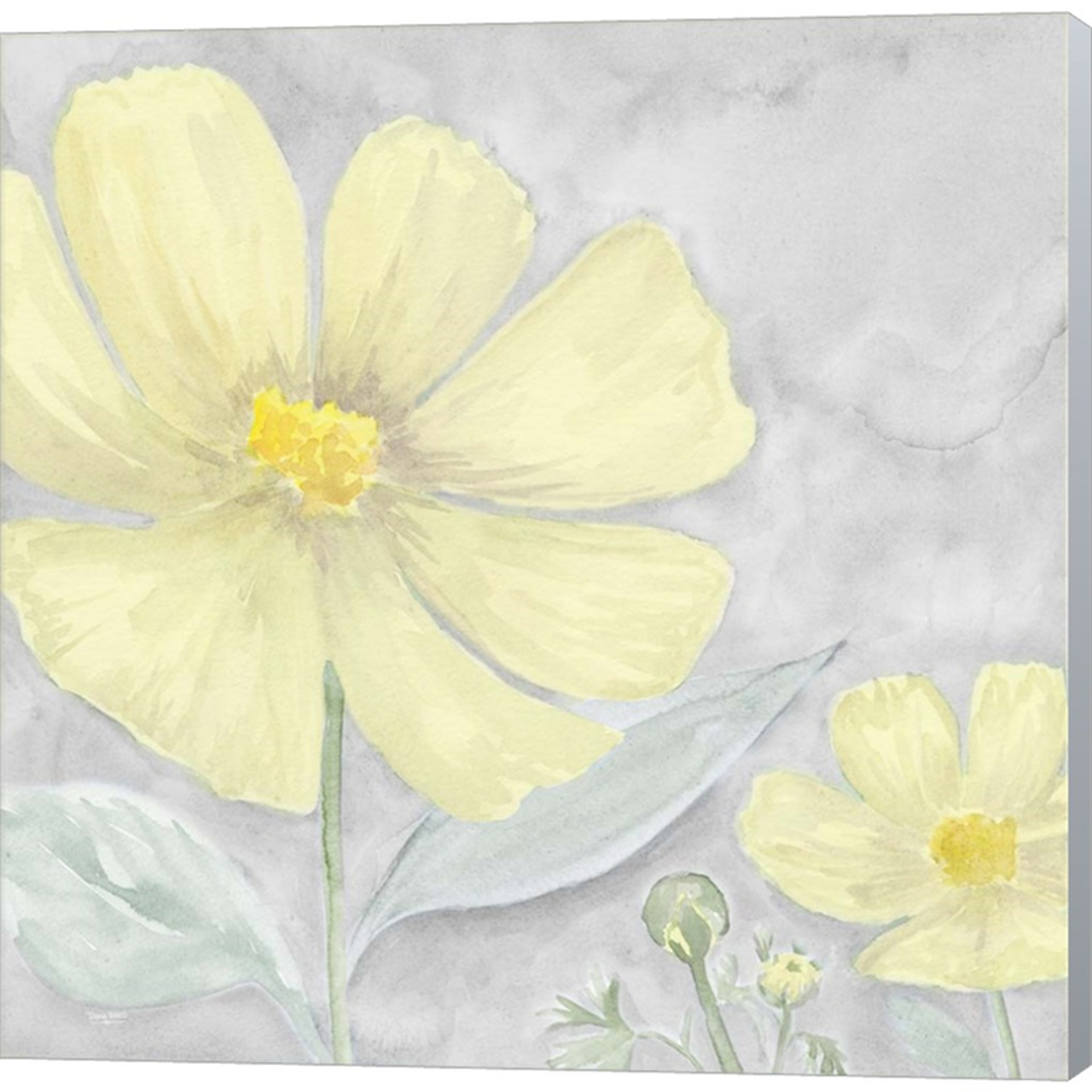 Peaceful Repose Gray & Yellow III by Tara Reed, Canvas Art