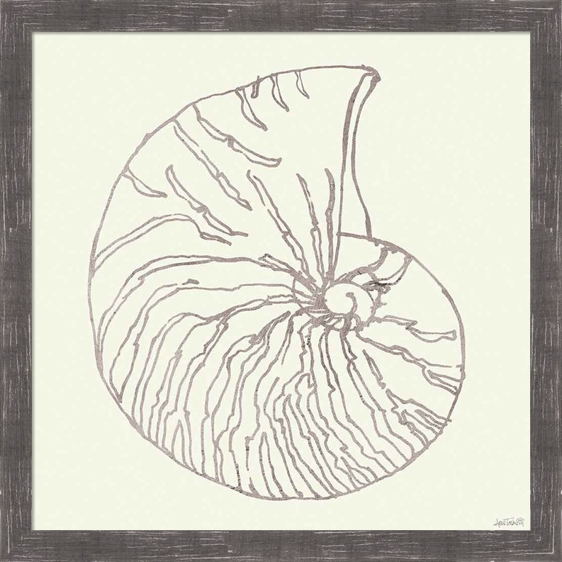 Coastal Breeze Shell Sketches VII Silver by Anne Tavoletti, Framed Wall Art