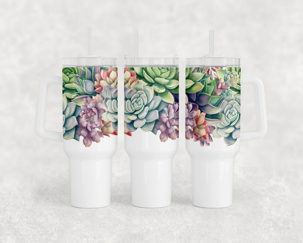 Succulents Neoprene Car Coaster Set - 3511-2265