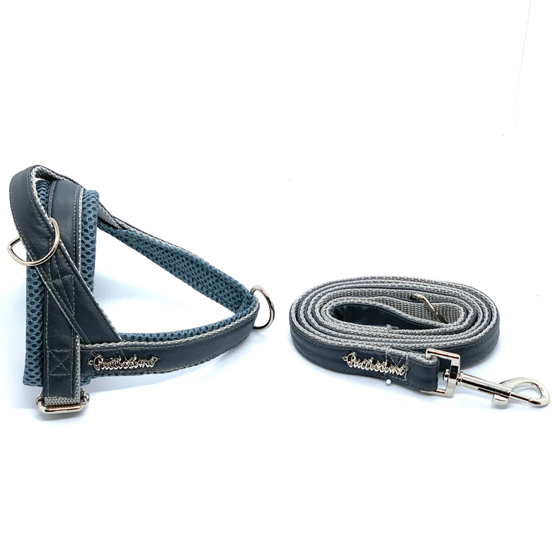 Shadow One-click dog harness - PuccissimePet000268