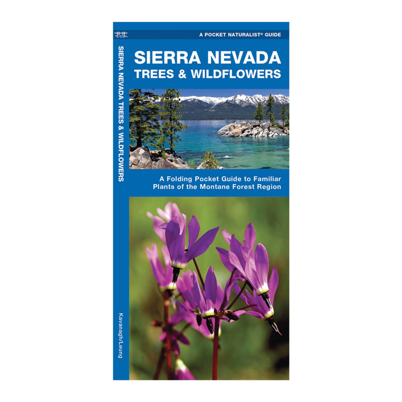Sierra Nevada Trees & Wildflowers