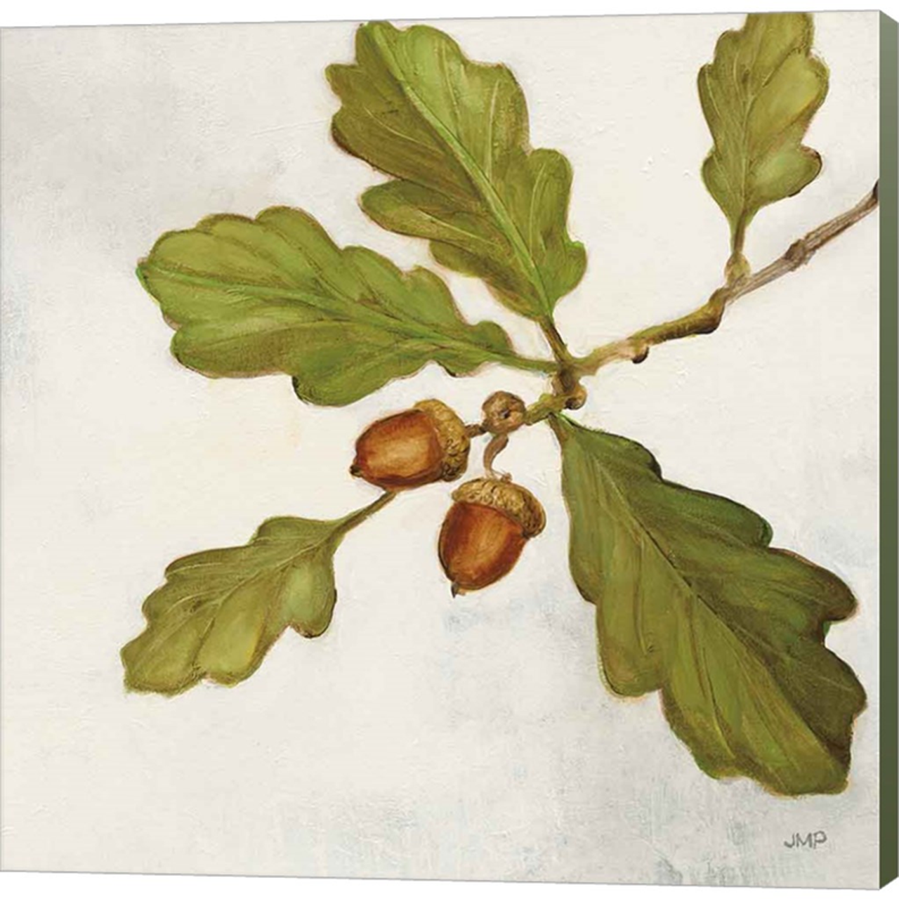 Oak Branch Crop by Julia Purinton, Canvas Art - C1087377-0120000-YCEAAMA