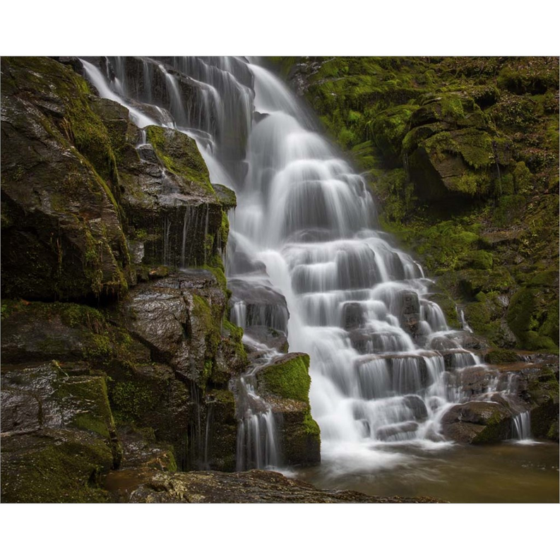 Eastatoe Falls Stairway by Andy Crawford Photography, Canvas Art