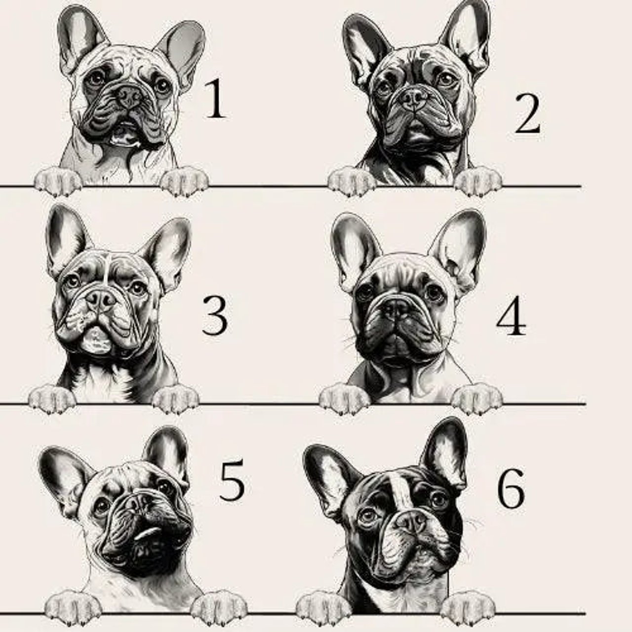 The French Bulldog - Dog Breed Soy Wax Melts for Wax Warmers