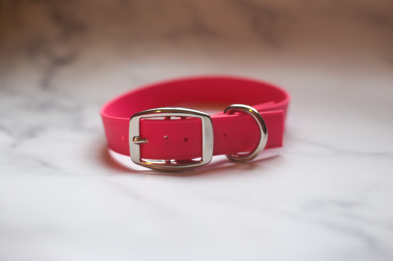 Biothane Buckle Dog Collar - S001014B001746P000002V055