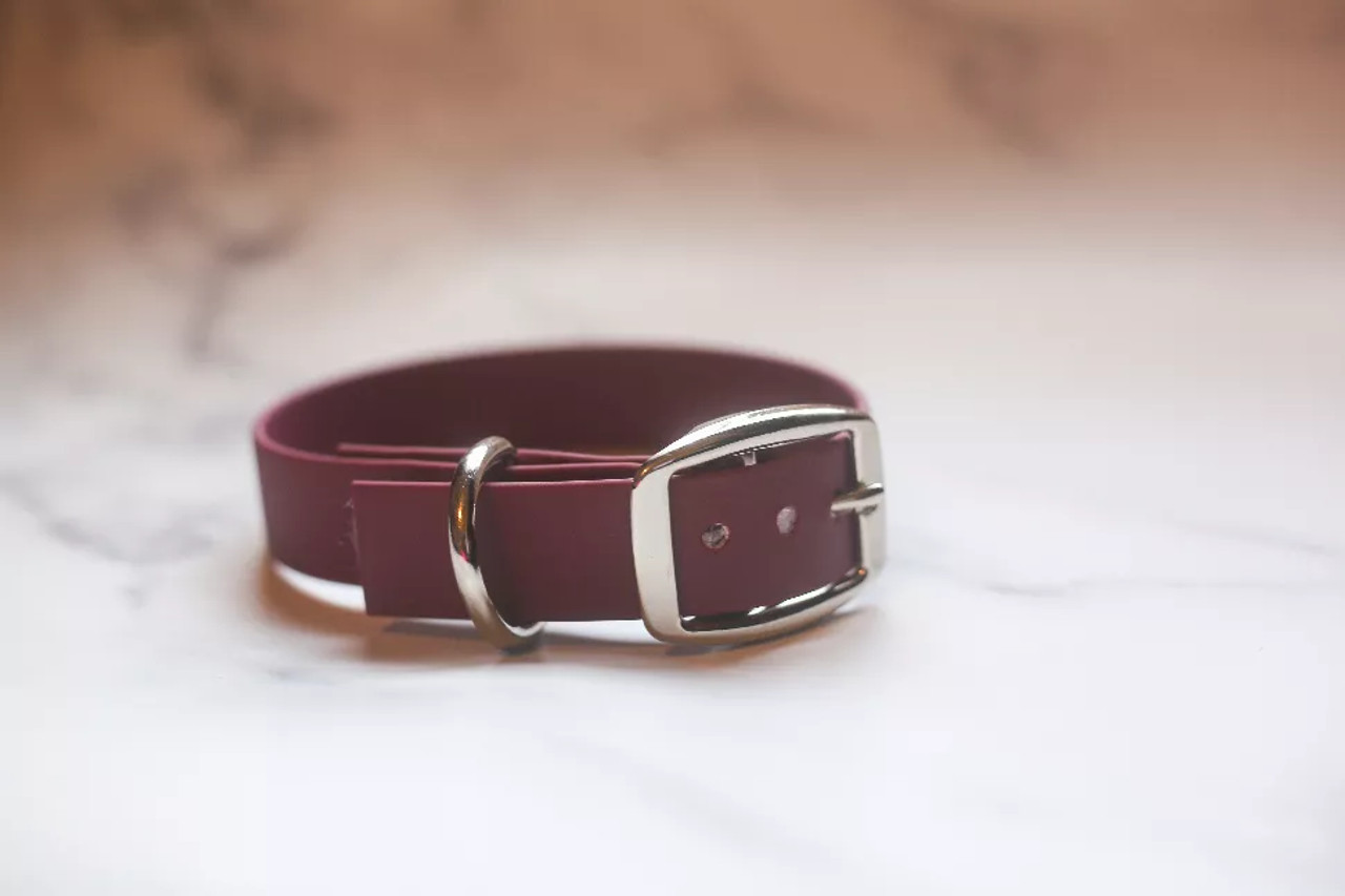 Biothane Buckle Dog Collar - S001014B001746P000002V036