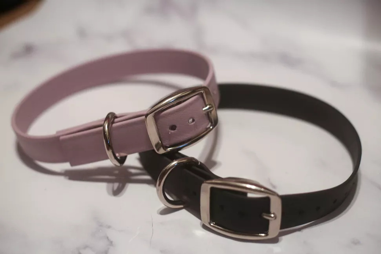 Biothane Buckle Dog Collar - S001014B001746P000002V034