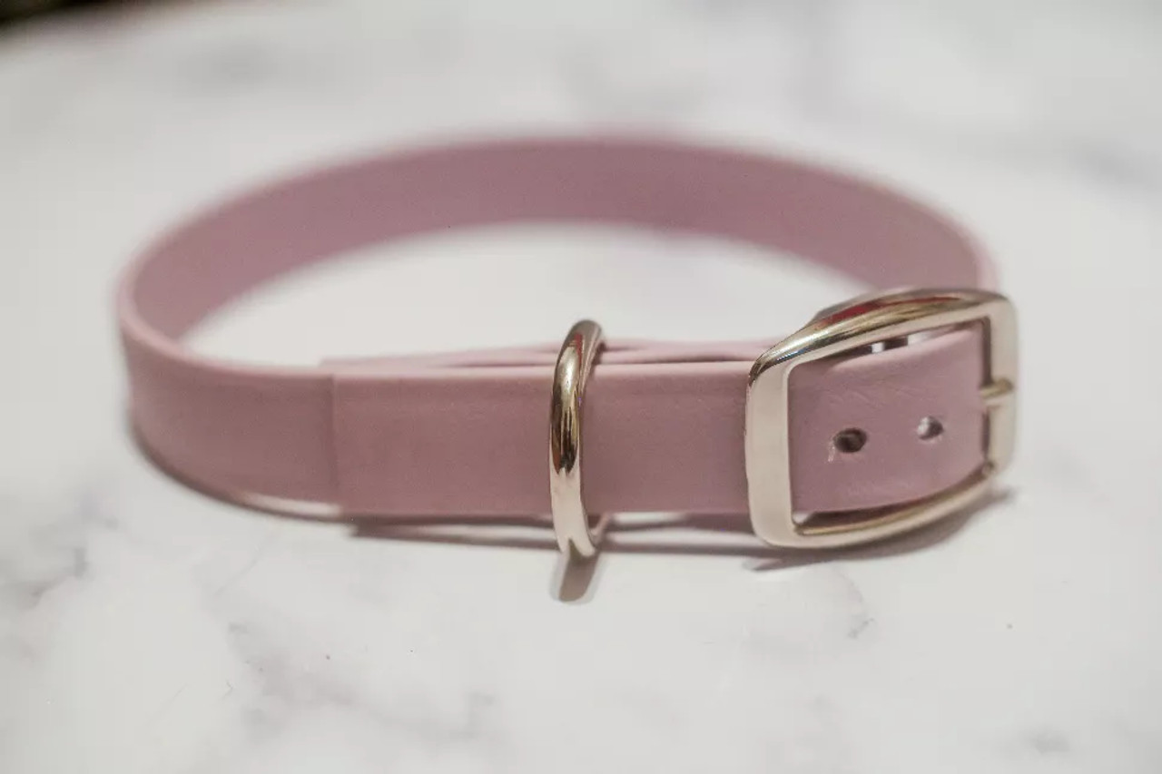 Biothane Buckle Dog Collar - S001014B001746P000002V046