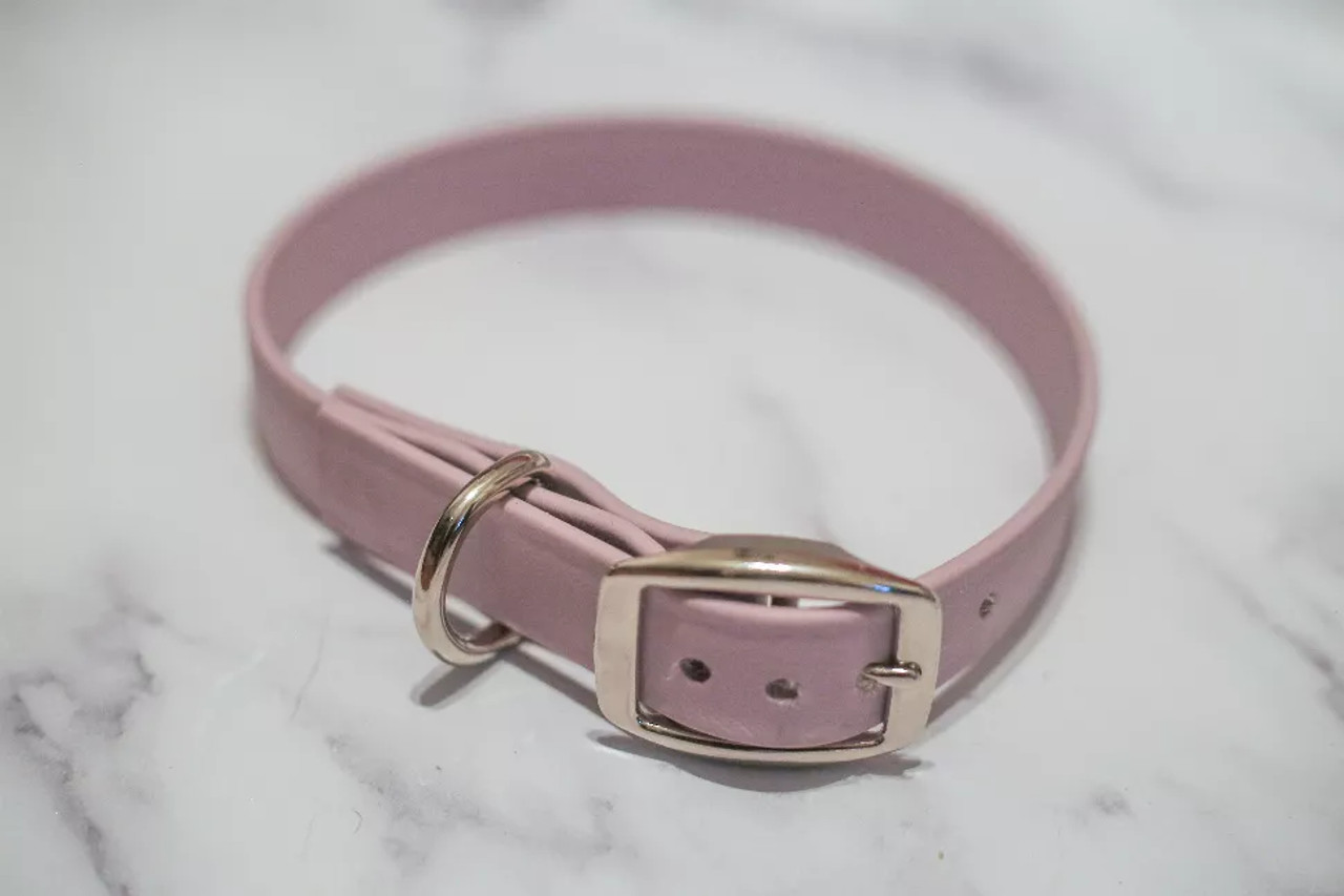 Biothane Buckle Dog Collar - S001014B001746P000002V045