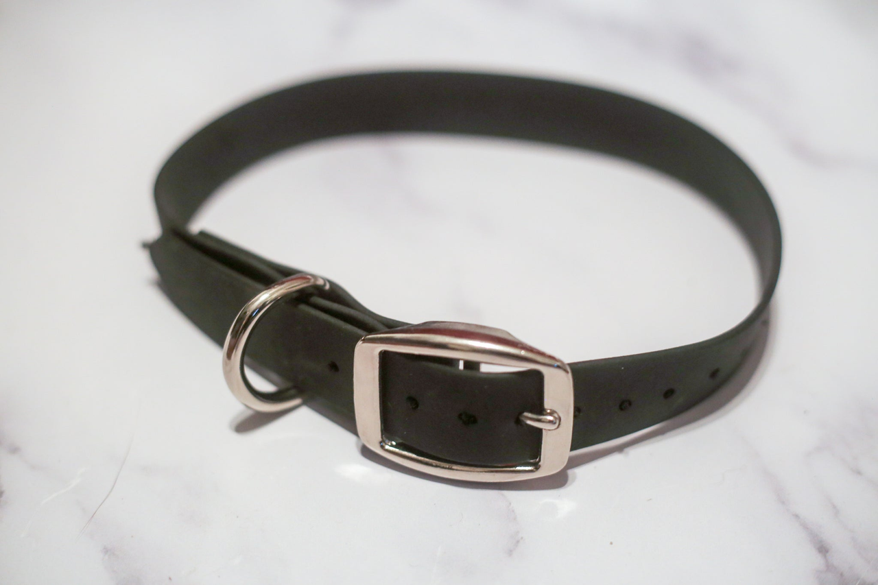Biothane Buckle Dog Collar - S001014B001746P000002V021