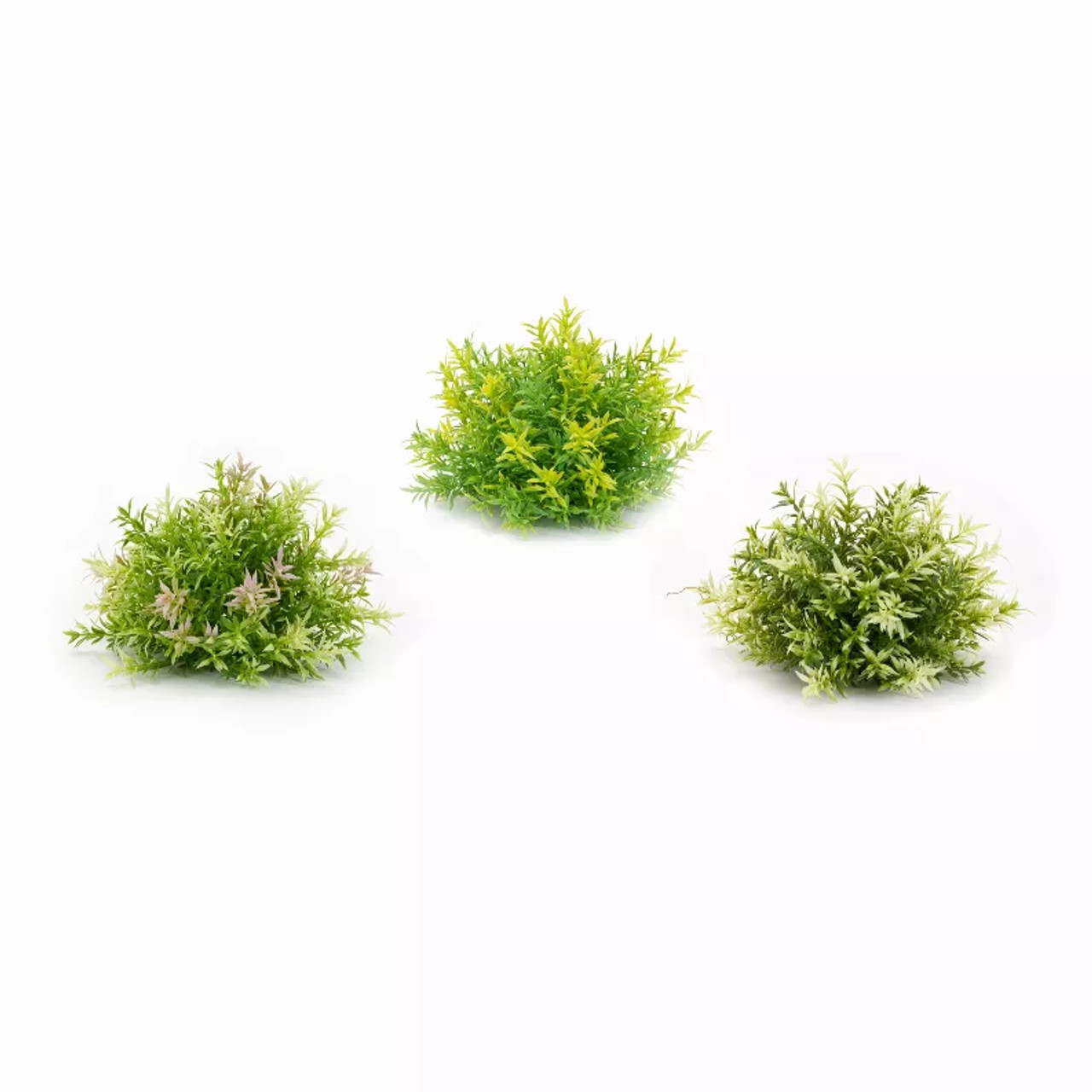 Half Orb (Set of 6) Plastic