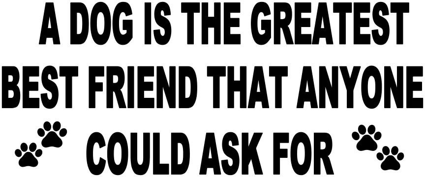 A Dog Is The Greatest Best Friend Anyone Could Ask For
