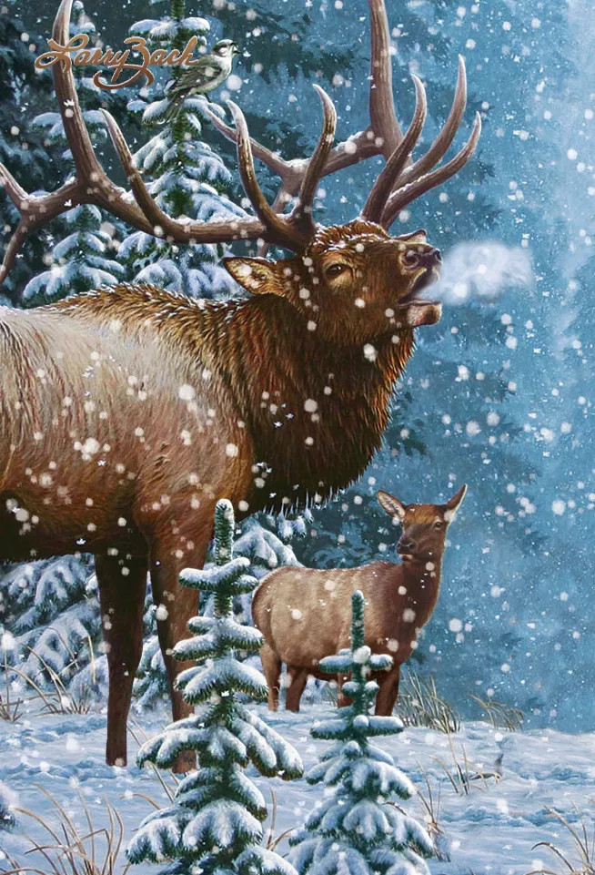 Animal - Motion Postcard - 20303Elk