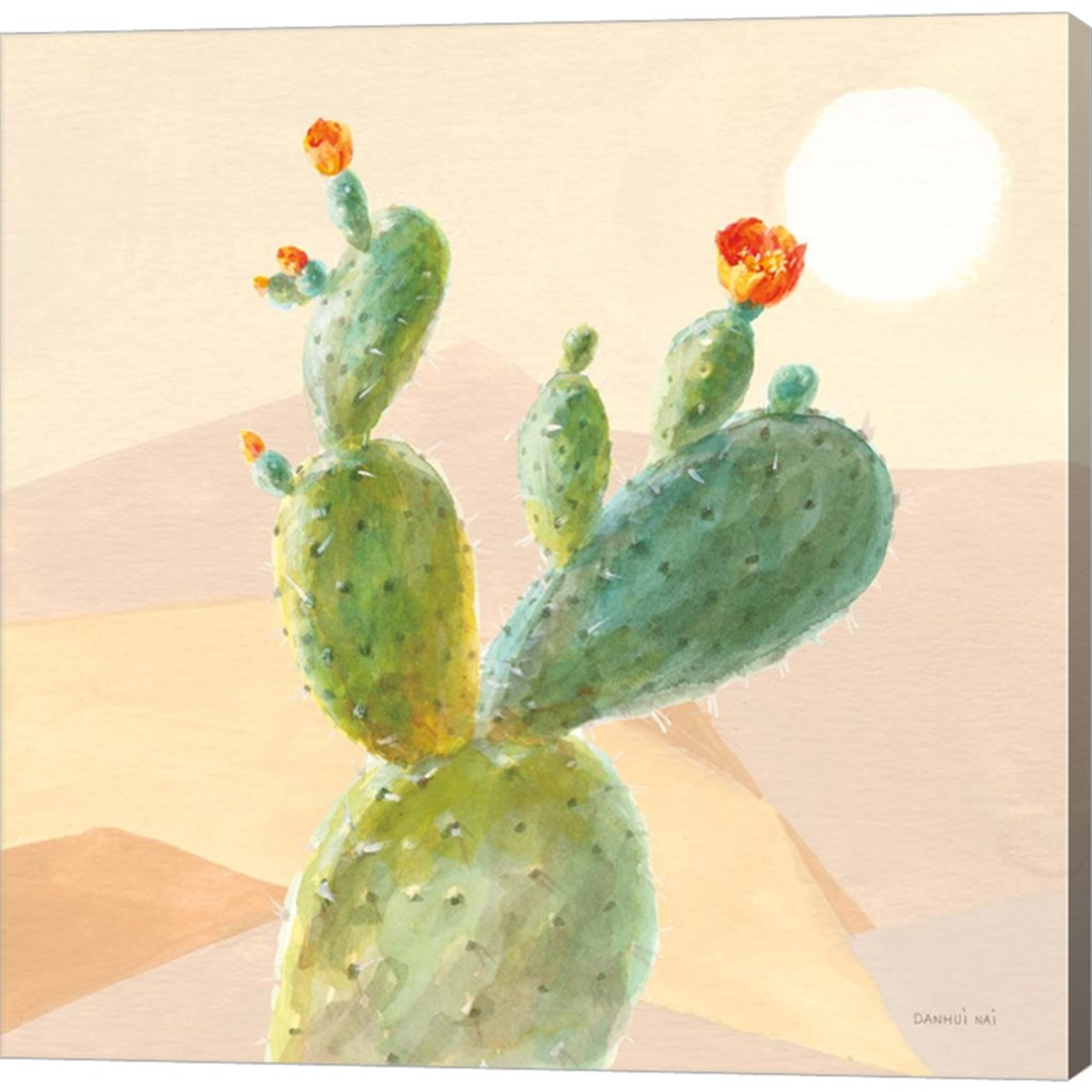 Desert Greenhouse IV by Danhui Nai, Canvas Art - C1089107-0240000-AAAACMA