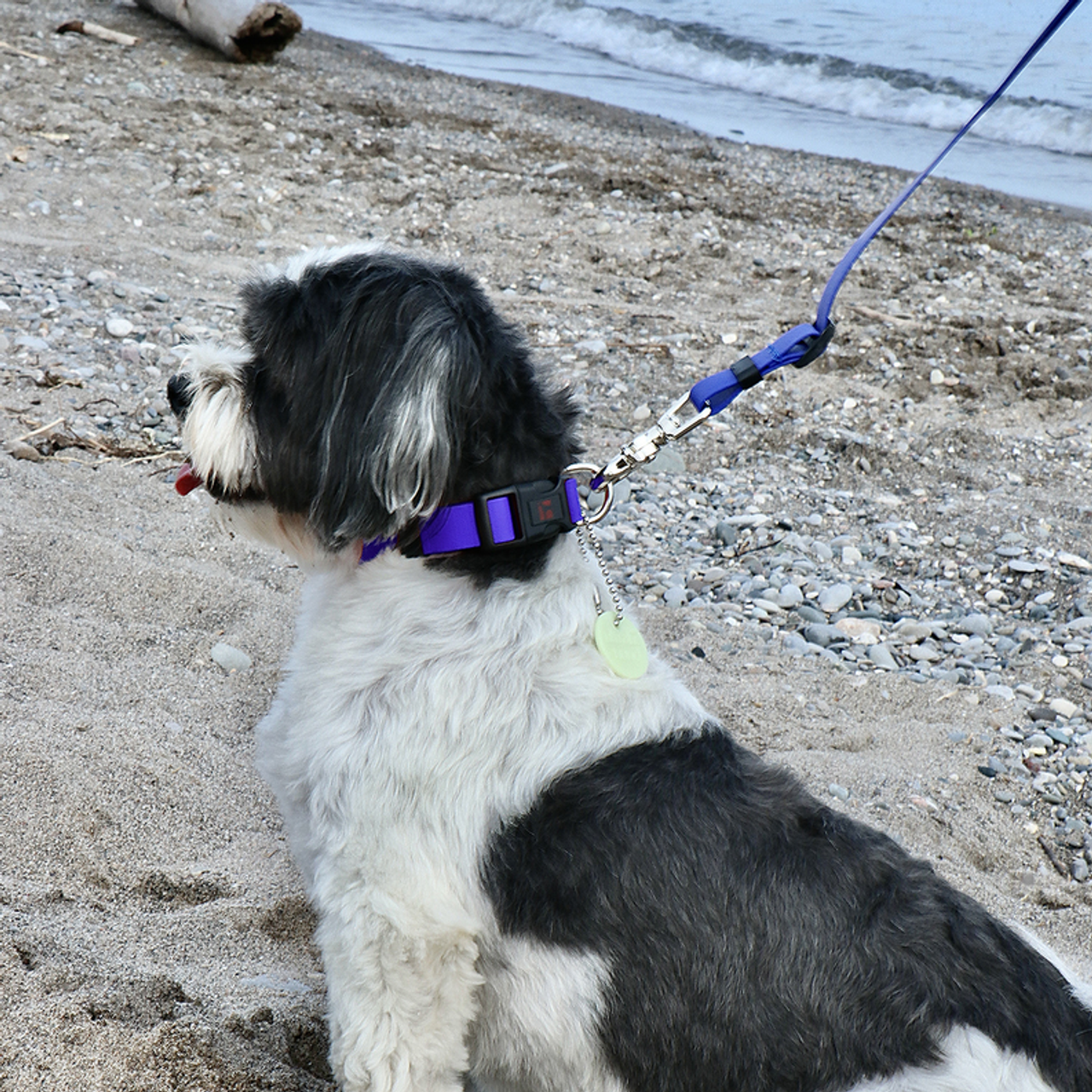 Boss Adjustable Leash - S000032B000142P000003V000