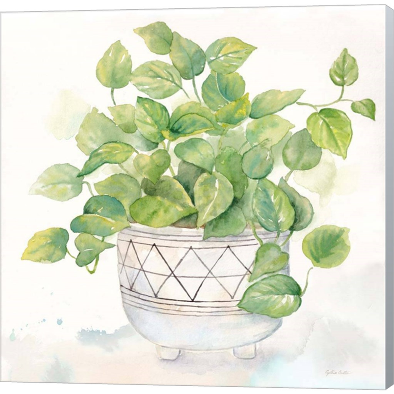 Houseplant I-Philodendron by Cynthia Coulter, Canvas Art