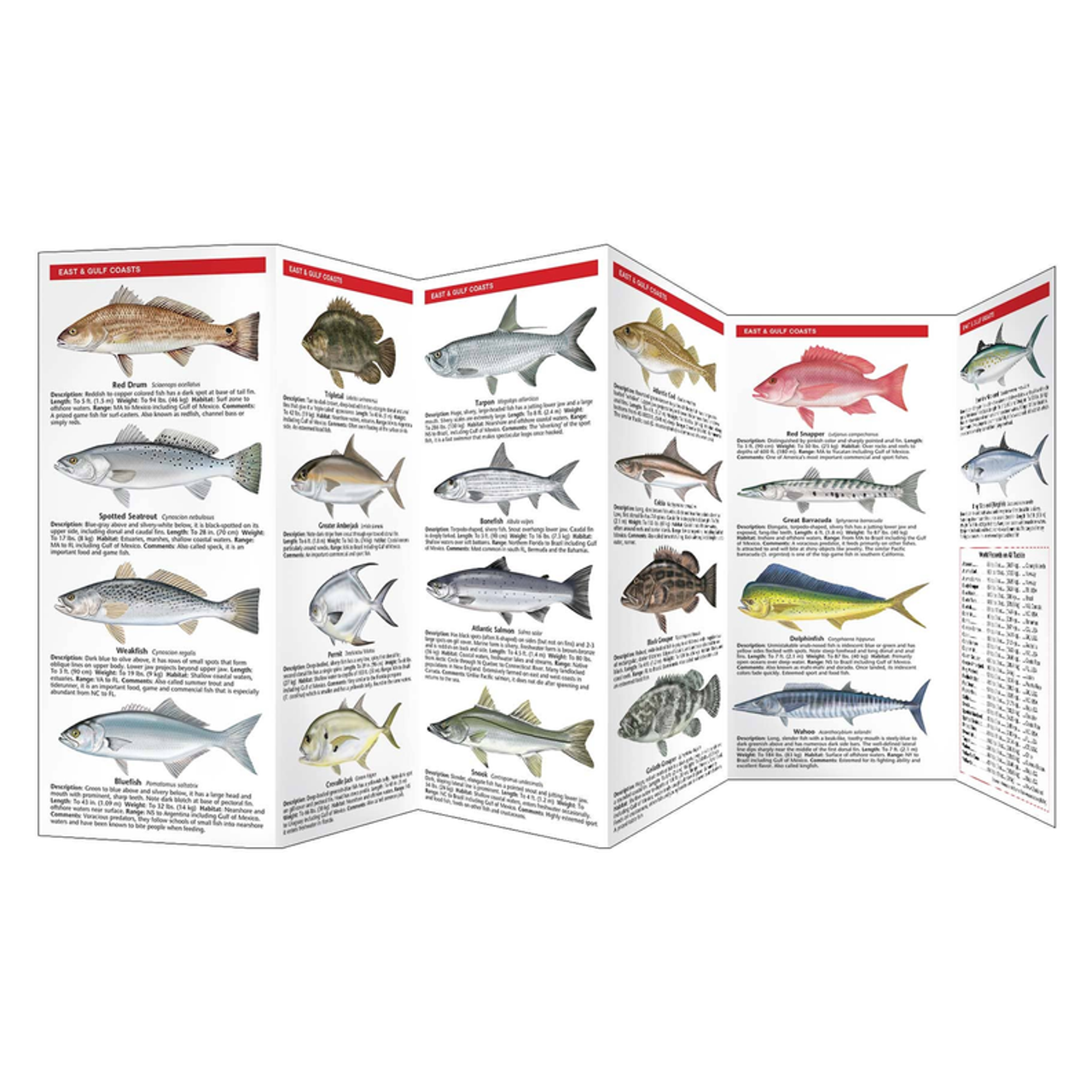 Saltwater Game Fish of North America, 2nd Ed