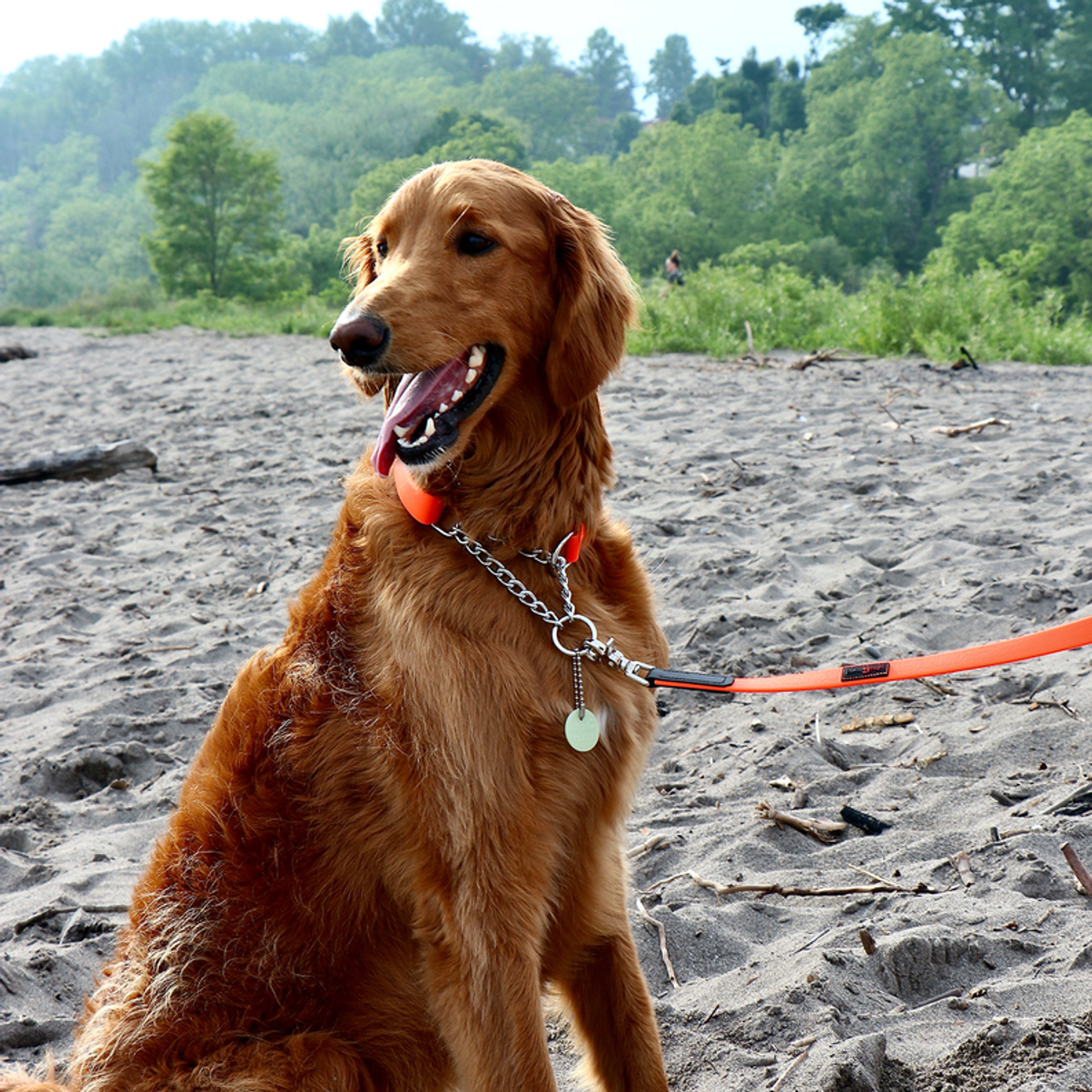 Boss Regular Leash - S000032B000142P000020V000