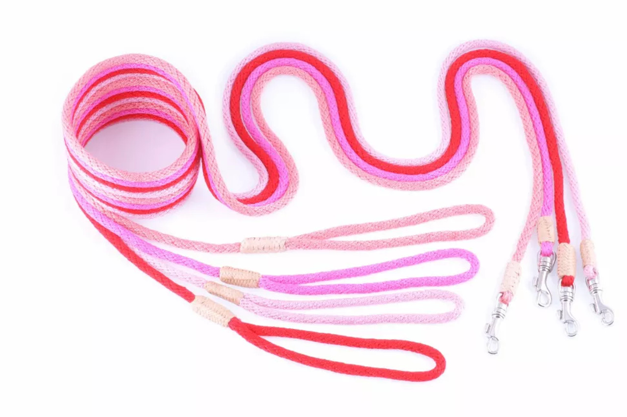 Alvalley Nylon Snap Leads - S001009B001760P000016V024