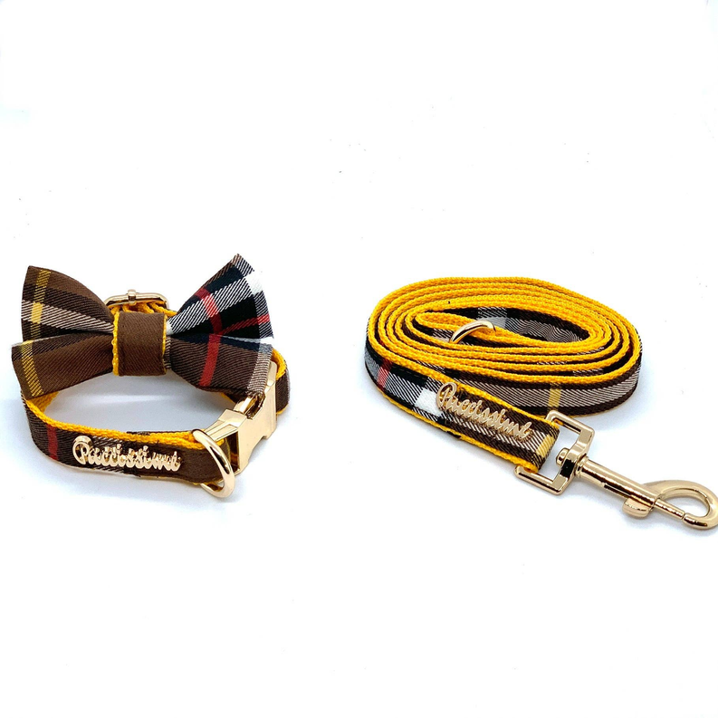 Medallion Dog Collar - PuccissimePet000344