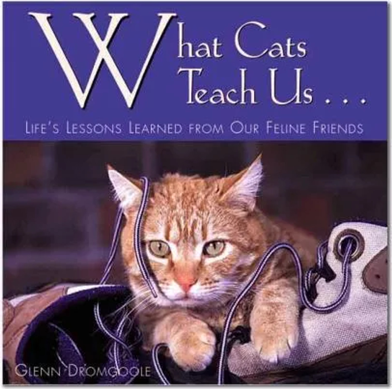 What Cats Teach Us