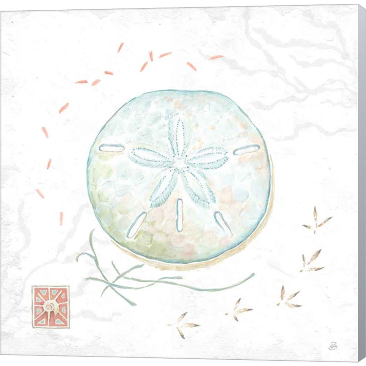 Delicate Sea VI by Daphne Brissonnet, Canvas Art - C1080998-0240000-ACCQAMA