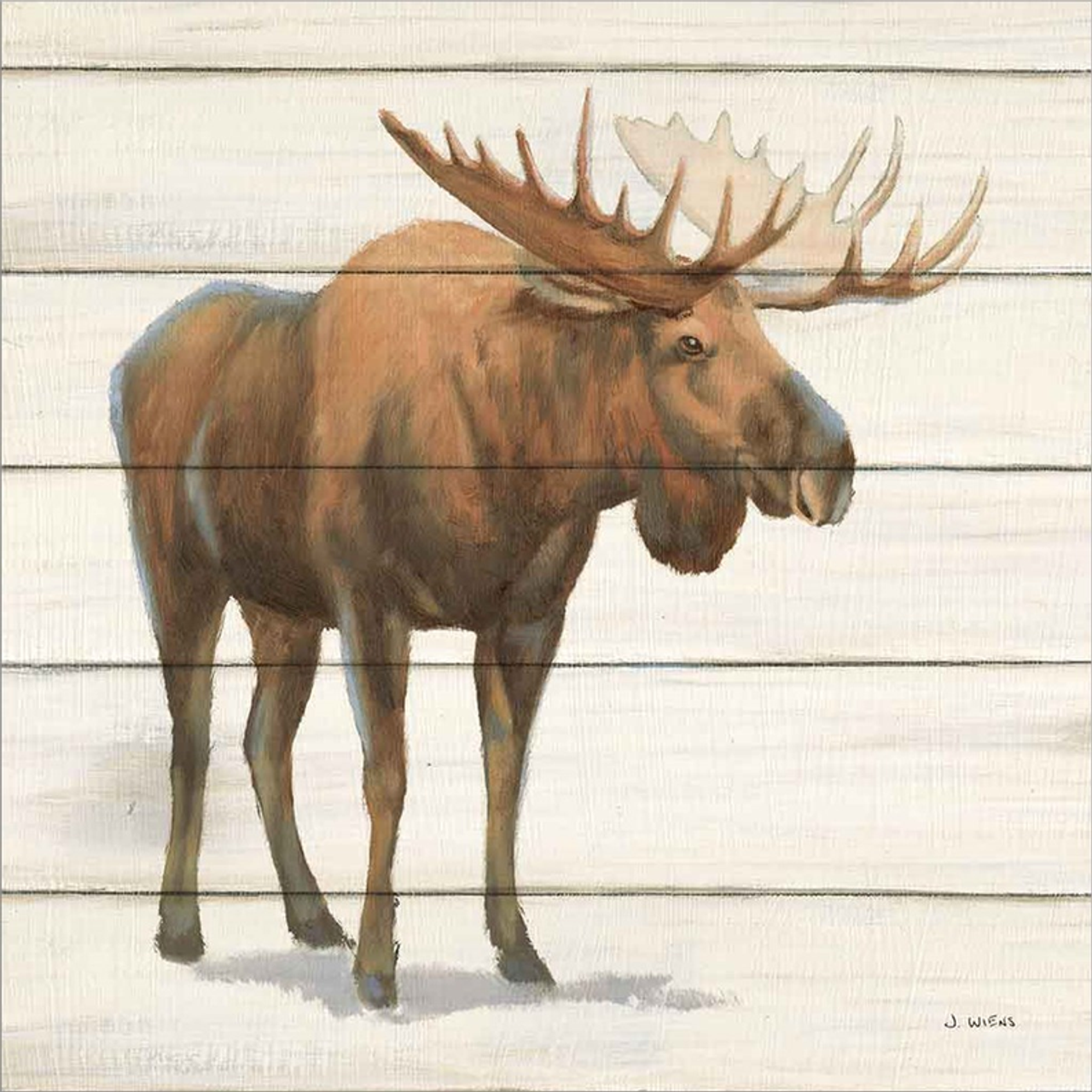 Northern Wild VI by James Wiens, Canvas Art