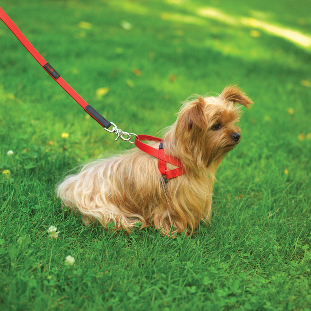 Freedom Harness - S000032B000142P000044V000