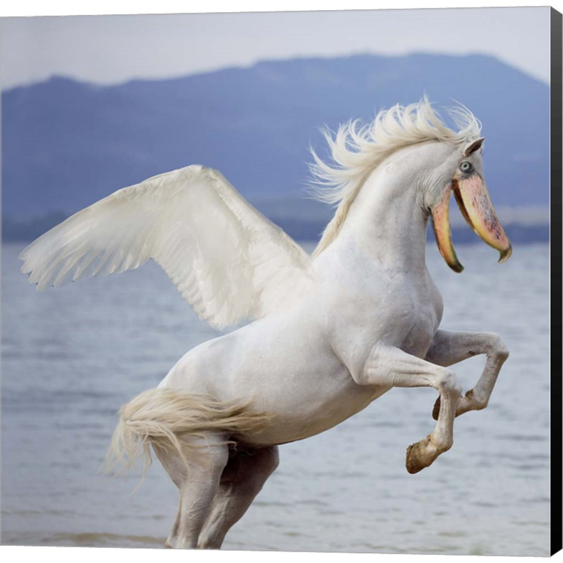 Shoebill Horse by Pixelmated Animals, Canvas Art - C1088703-0120000-8CAAAMA