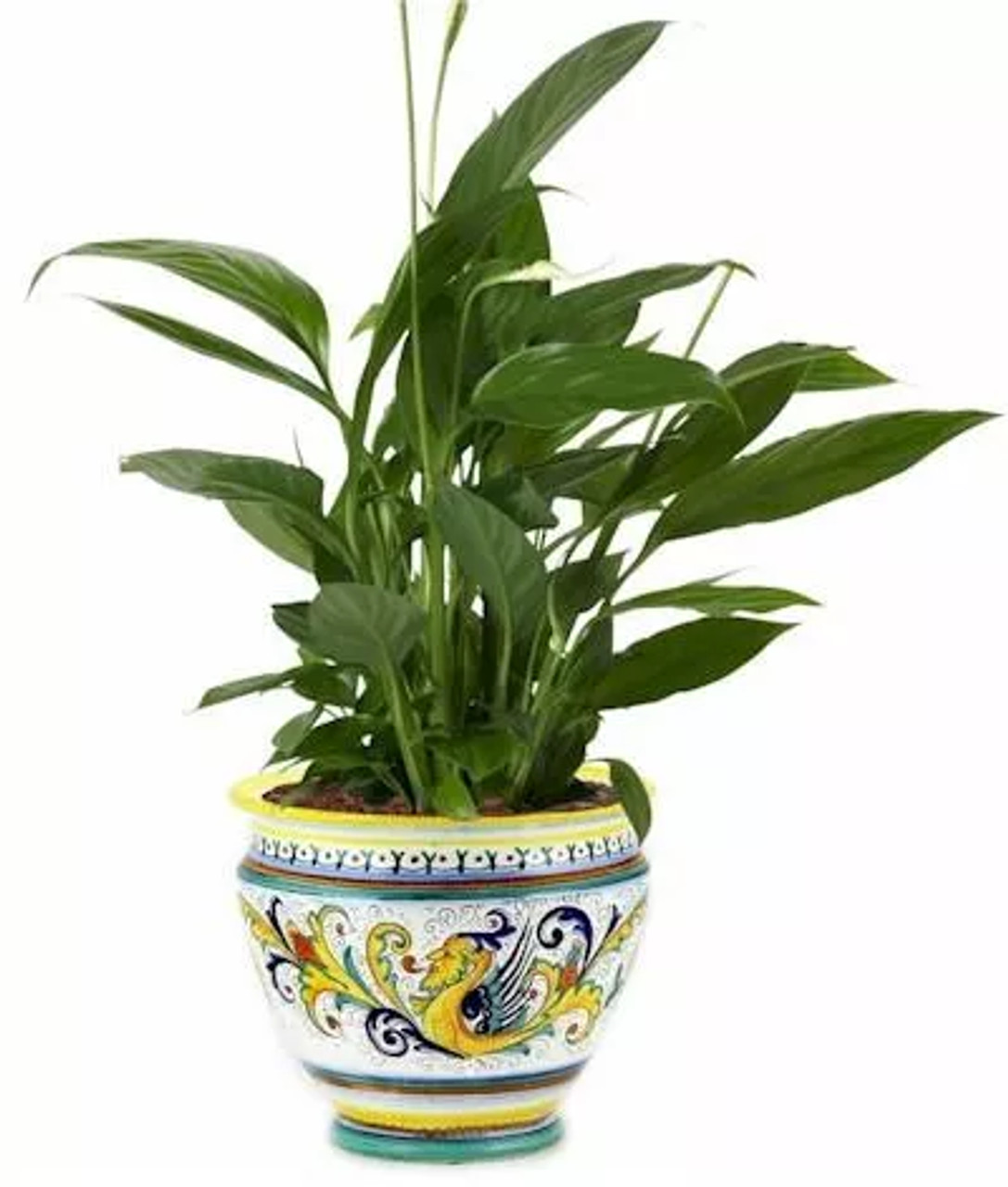 RAFFAELLESCO PLANTER/CACHEPOT