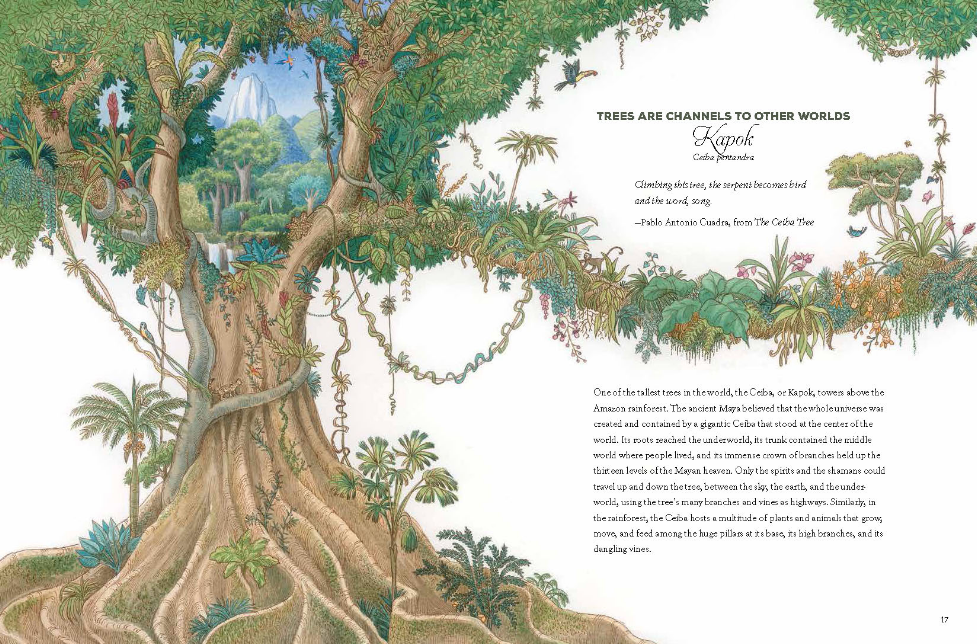 The Universe Is a Tree