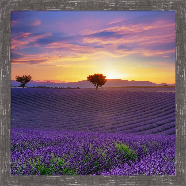 Lavender Sky Sunset by Cora Niele, Framed Wall Art