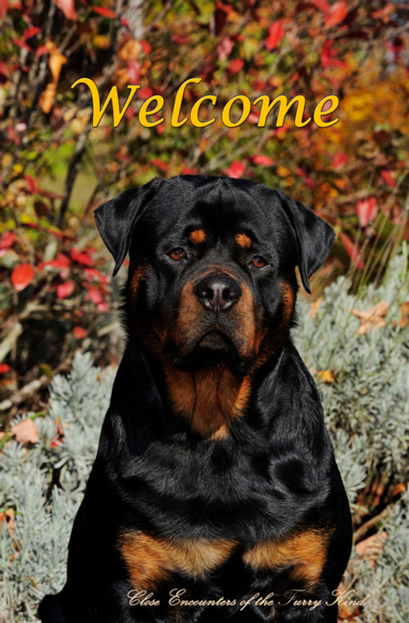 Rottweiler - Close Encounters of the Furry Kind Welcome  House and Garden Flags - 25002